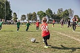 11teamsports-Junioren-Cup 2023 - Spielszenen & Eindrücke