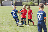 11teamsports-Junioren-Cup 2023 - Spielszenen & Eindrücke