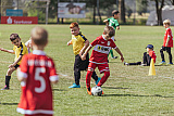 11teamsports-Junioren-Cup 2023 - Spielszenen & Eindrücke
